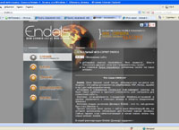 Endels -  web-,     (endels.ru)
