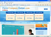 forexcompanyonline.com : Forex Company Online :. forexcompanyonline.com