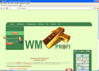 wm-profi.ru : WM PROFI -   